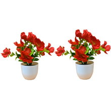 set of 2 small glassi pot 10 blossom cutting flowers