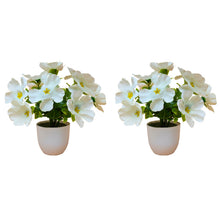 set of 2 small glassi pot 10 blossom cutting flowers