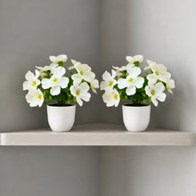 set of 2 small glassi pot 10 blossom cutting flowers