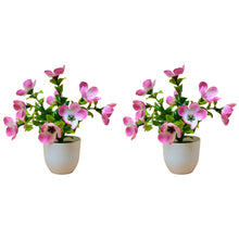 set of 2 small glassi pot 10 mini blossom cutting flowers