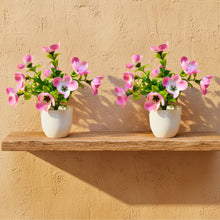 set of 2 small glassi pot 10 mini blossom cutting flowers