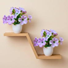 set of 2 big  glassi pot 10 printed blossom cutting flowers
