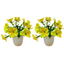 set of 2 big  glassi pot 10 printed blossom cutting flowers