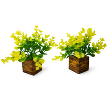 Fancy Mart Artificial Eucalyptus Plant with Plastic Pot (Pack of 2) | 12 cm Height | Mini Potted Plants for Shelf Décor