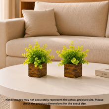 Fancy Mart Artificial Eucalyptus Plant with Plastic Pot (Pack of 2) | 12 cm Height | Mini Potted Plants for Shelf Décor