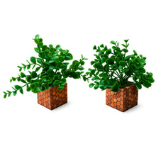 Fancy Mart Artificial Eucalyptus Plant with Plastic Pot (Pack of 2) | 12 cm Height | Mini Potted Plants for Shelf Décor