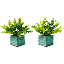 Fancy Mart  Artificial Eucalyptus Plant with Plastic Pot (Pack of 2) | 12 cm Height | Mini Potted Plants for Shelf Décor