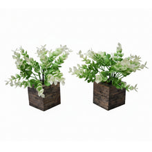 Fancy Mart Artificial Eucalyptus Plant with Plastic Pot (Pack of 2) | 12 cm Height | Mini Potted Plants for Shelf Décor