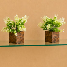 Fancy Mart Artificial Eucalyptus Plant with Plastic Pot (Pack of 2) | 12 cm Height | Mini Potted Plants for Shelf Décor