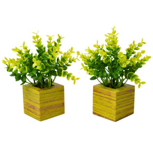 Fancy Mart  Artificial Eucalyptus Plant with Plastic Pot (Pack of 2) | 12 cm Height | Mini Potted Plants for Shelf Décor