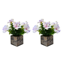 Fancy Mart Artificial Flower Cosmos in Wood Pot