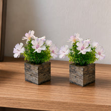Fancy Mart Artificial Flower Cosmos in Wood Pot