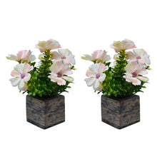Fancy Mart Artificial Flower Cosmos in Wood Pot