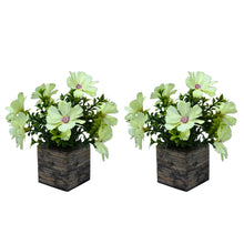 Fancy MartArtificial Flower Cosmos in Wood Pot