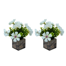Fancy Mart Artificial Flower Cosmos in Wood Pot