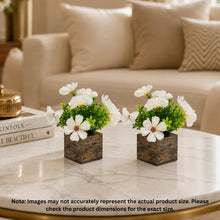 Fancy Mart Artificial Flower Cosmos in Wood Pot