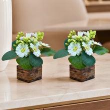 Fancy Mart Artificial Flower Gerbera Daisy in Wood Pot