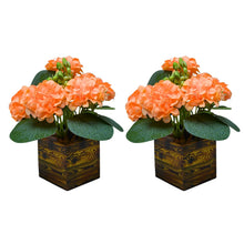 set of 2 china genda (7 flowers + 7 beads lup( 8.75 gms) + 2 fabric patte in 7 pointer (1.6 gms) in printed dabbi
