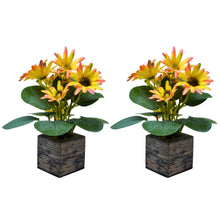 Fancy Mart Artificial Flower Daisy Chrysanthemums in Wood Pot