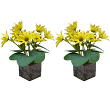 Fancy Mart Artificial Flower Daisy Chrysanthemums in Wood Pot
