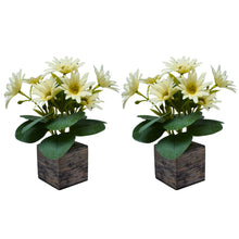 Fancy Mart Artificial Flower Daisy Chrysanthemums in Wood Pot