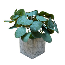 Artificial Plant with Real-Touch Leaves in Pot
