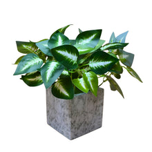 Artificial Plant with Real-Touch Leaves in Pot