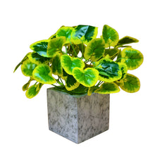 Artificial Plant with Real-Touch Leaves in Pot