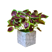 Artificial Plant with Real-Touch Leaves in Pot