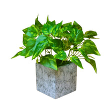Artificial Plant with Real-Touch Leaves in Pot