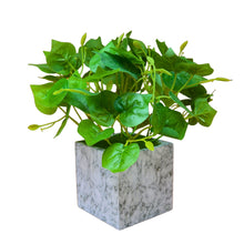 Artificial Plant with Real-Touch Leaves in Pot