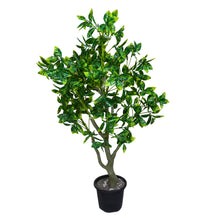 110 cm Non UV Duranta leaves (81) 300 grms, 9 pointer (9) ,