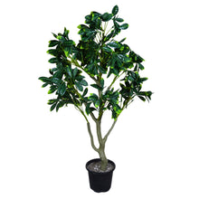 uv leaves tree 3 feet