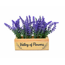 Lavender leaves in 6" printed planter(valley of flowers)