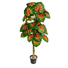 Artificial plant set of 3,chines stick, big leaves.
