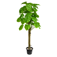 Artificial Plamt setof 3 Chinese stick big leaves