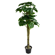 Artificial Plant set of 3, chinese stick big leaves