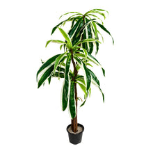 Artificial Plant set of 3 spider 60 leaves