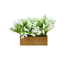 6 inch printed planter