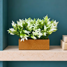 6 inch printed planter