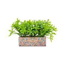 6 inch printed planter