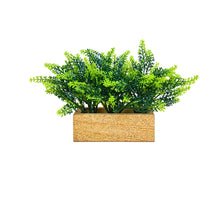 6 inch printed planter