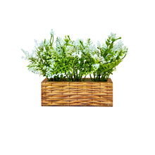 6 inch printed planter