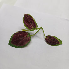 Artificial Leaf Design 010 - 1 KG PACK