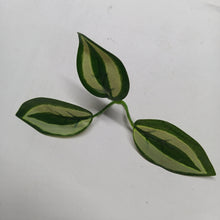 Artificial Leaf Design 016 - 1 KG PACK