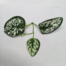 Artificial Leaf Design 037 - 1 KG PACK
