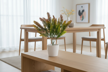 Artificial Cypress Plant (Height -35cm x Width -30cm)