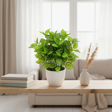 Artificial Green Leaves Plant Bunch (Height : 32 cm x Width : 30 cm)