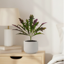 Artificial fork spring feather grass (Height : 35 cm)