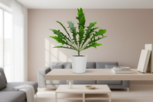 Artificial fork spring feather grass (Height : 35 cm)